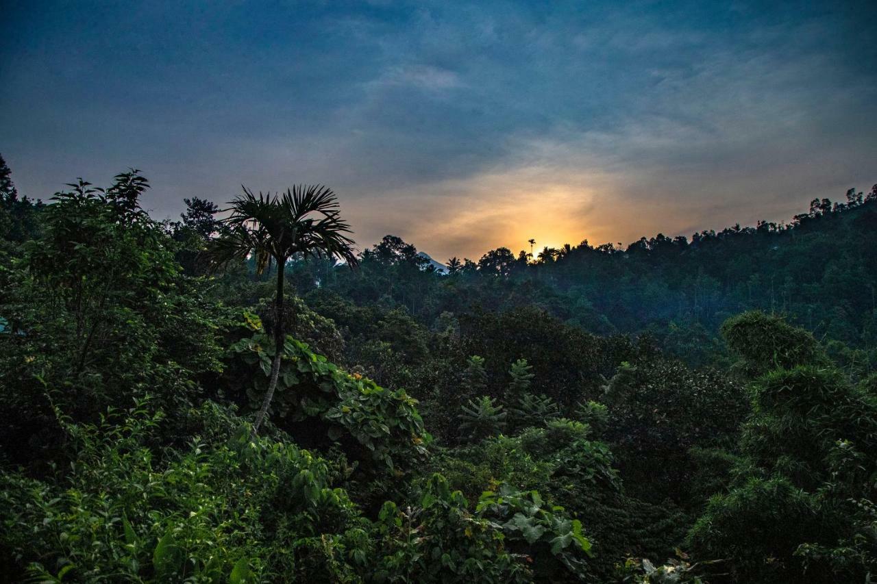 Отель Ecotones Munnar By Eden Environs Экстерьер фото